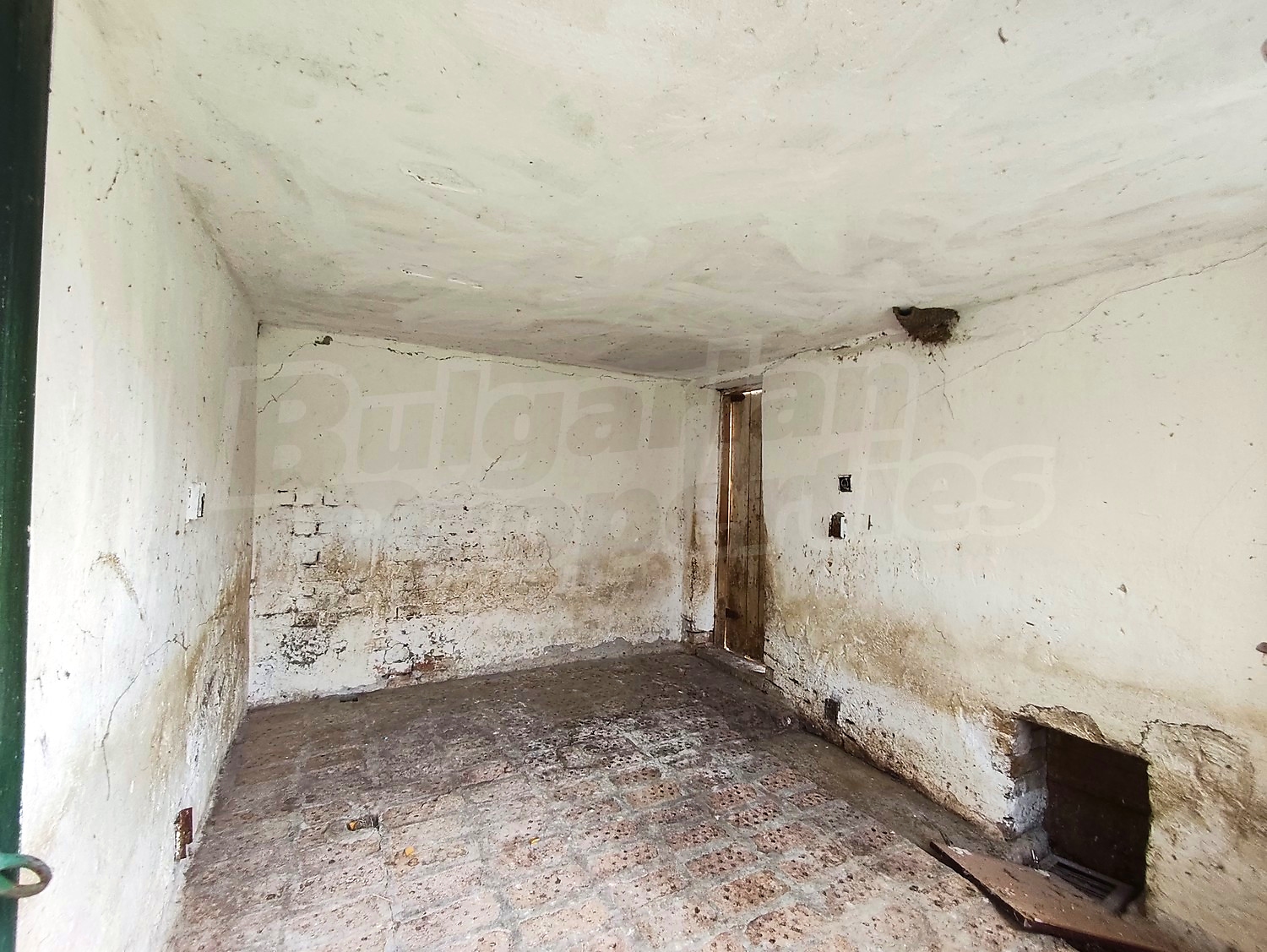 Gallery Picture 37