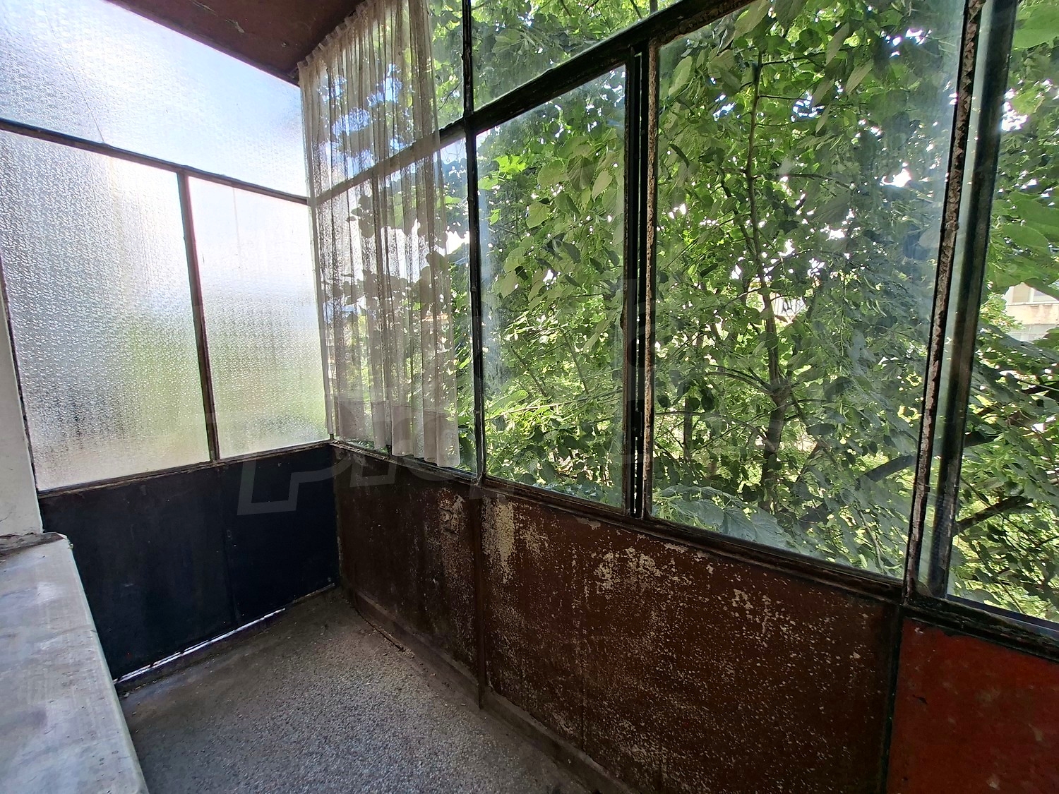 Gallery Picture 12