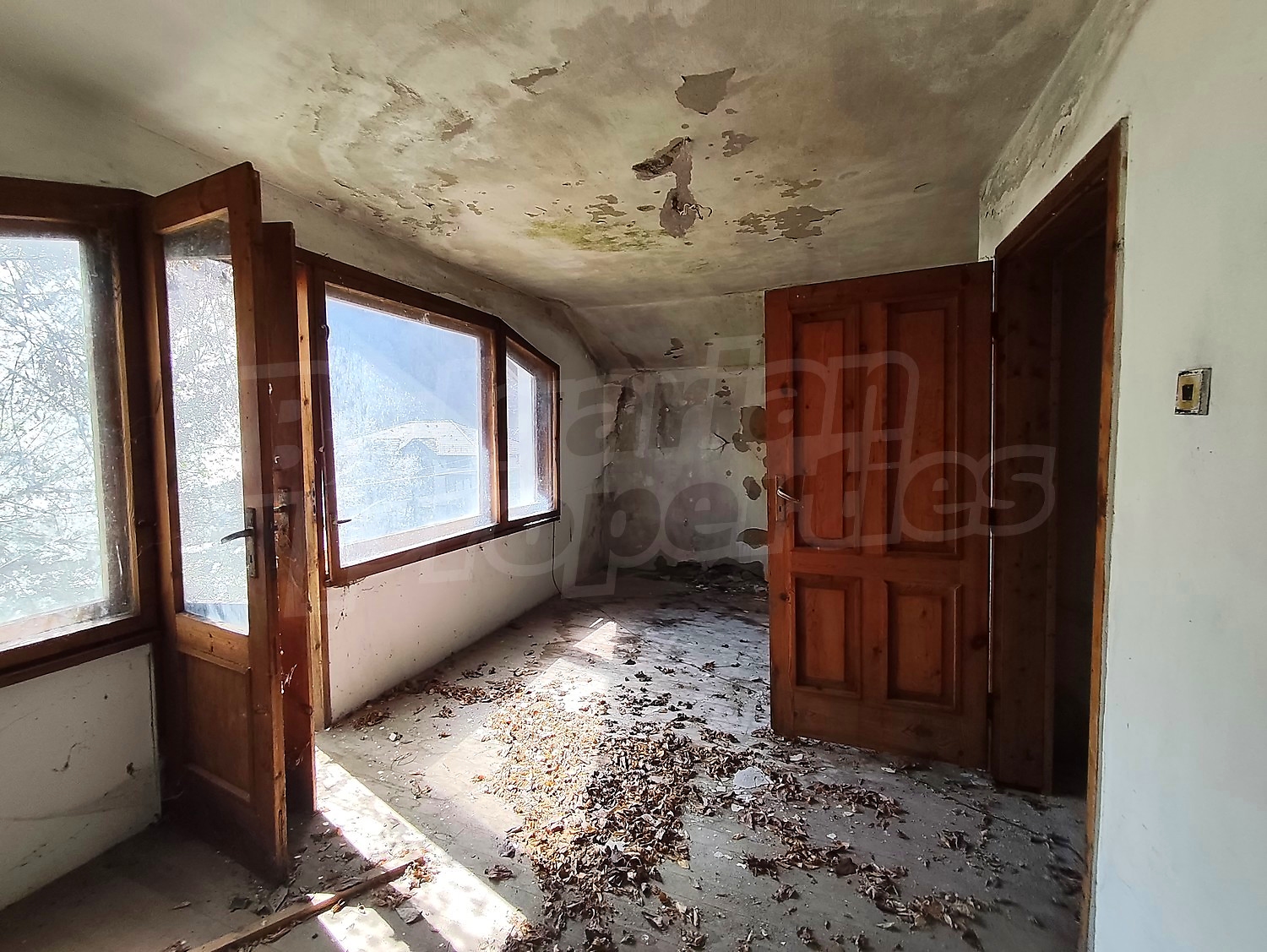 Gallery Picture 18