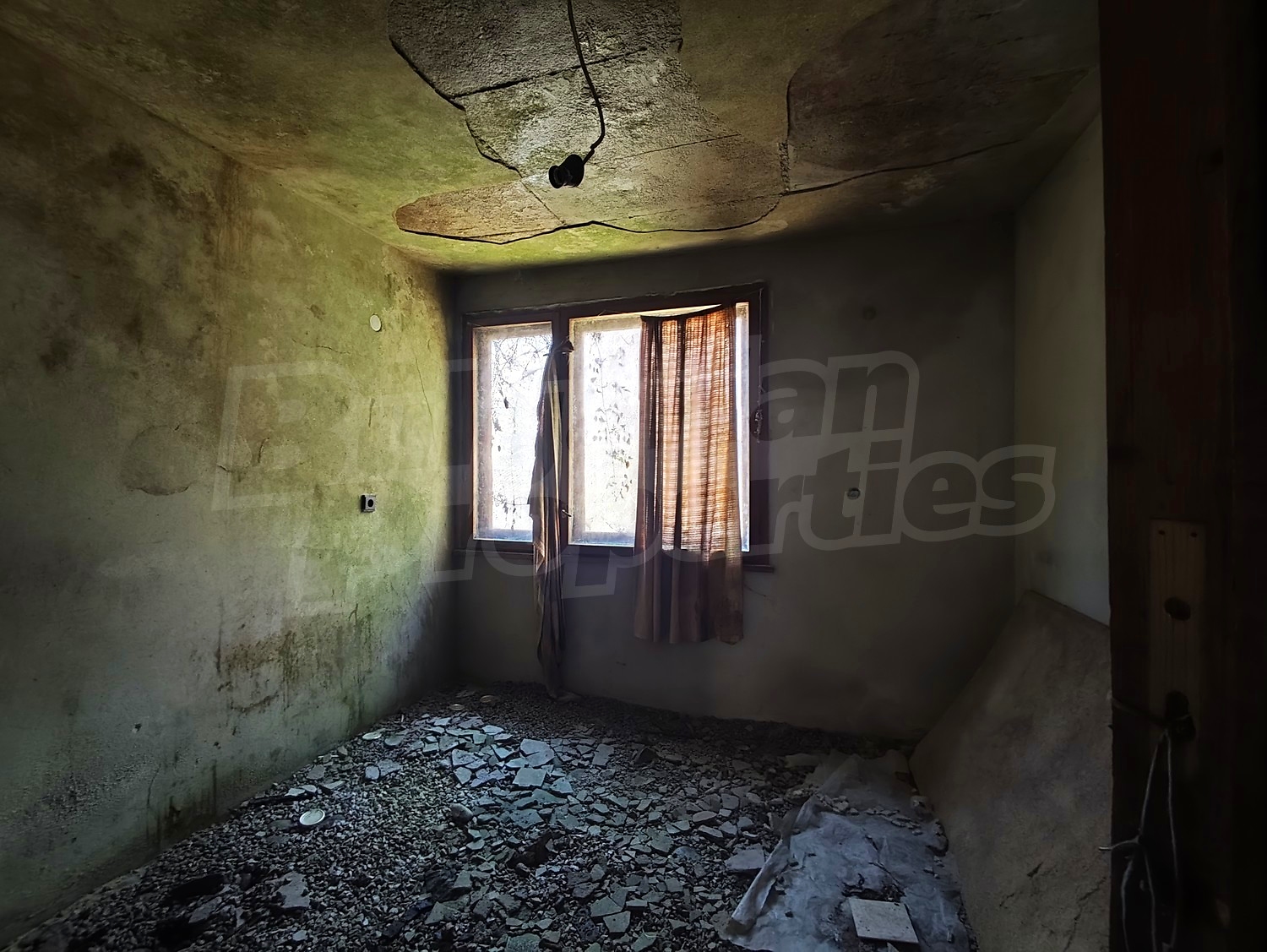 Gallery Picture 10