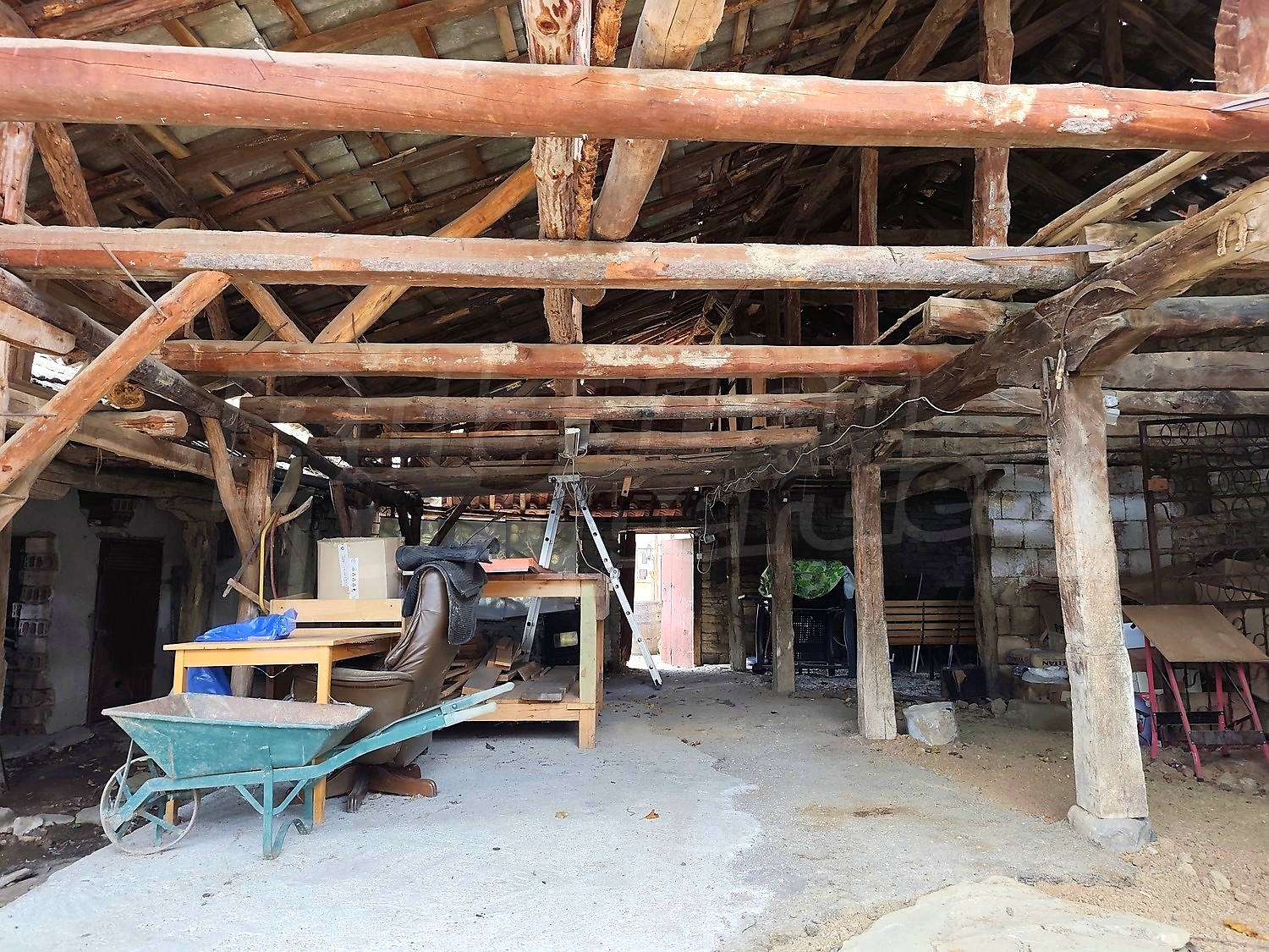 Gallery Picture 42