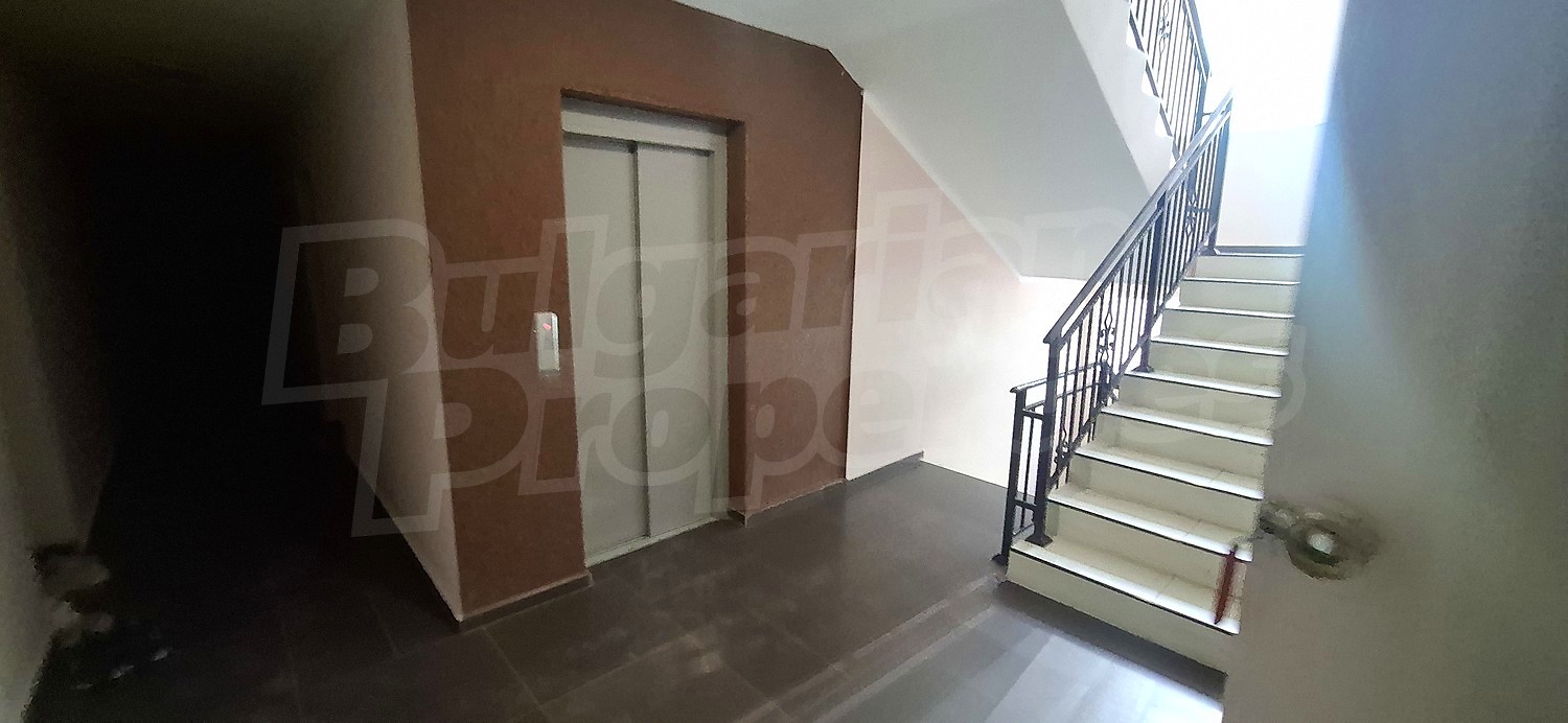 Gallery Picture 15