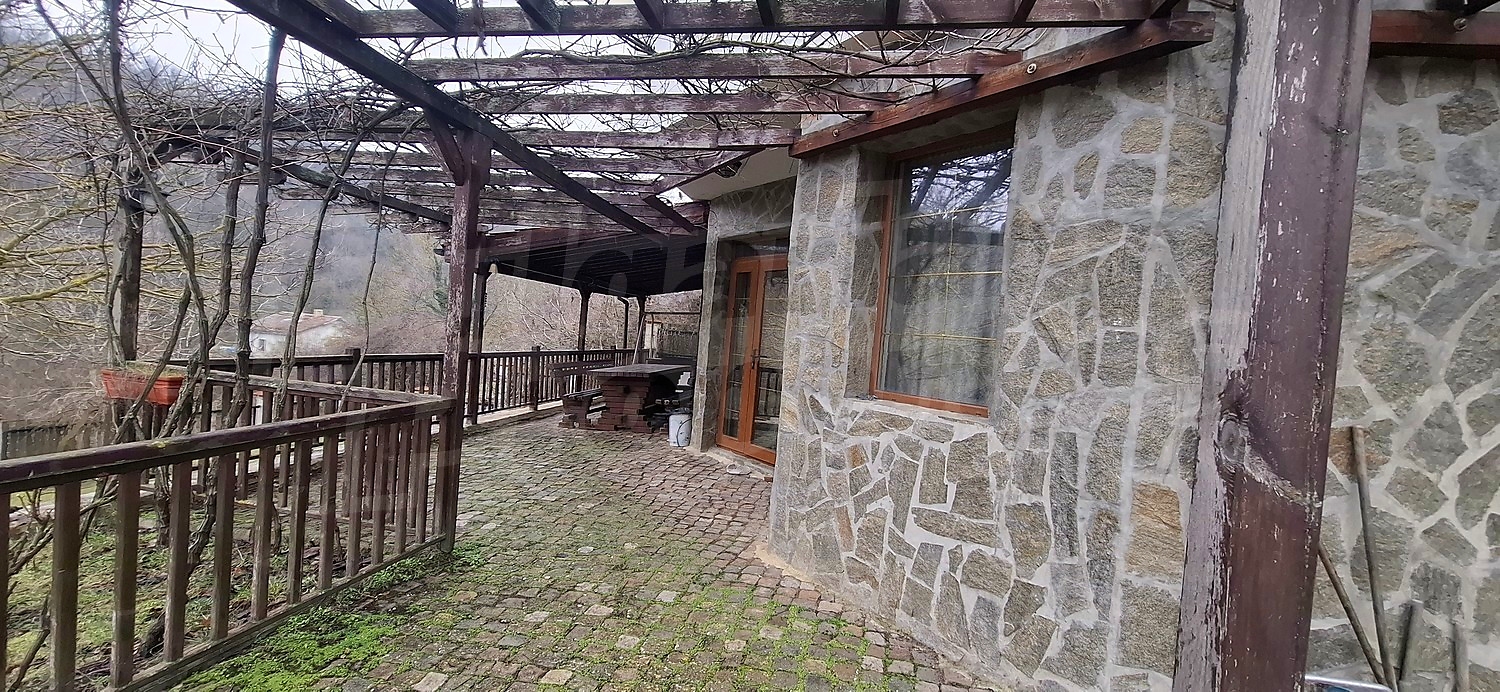 Gallery Picture 42