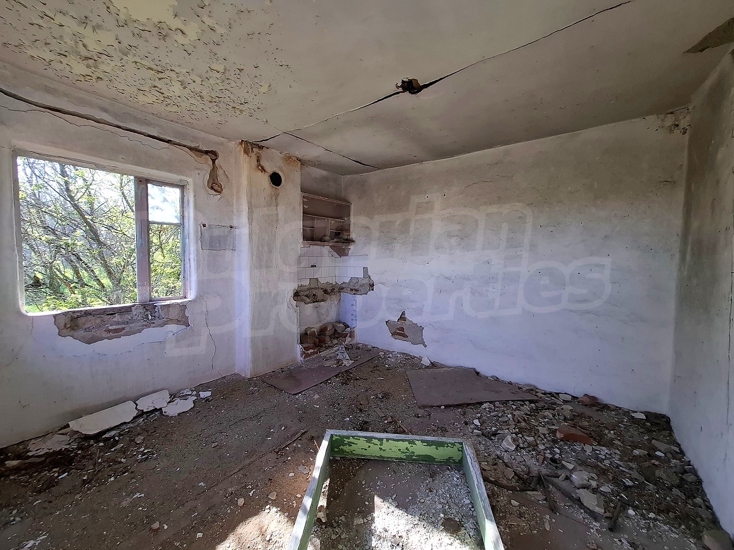 Gallery Picture 11