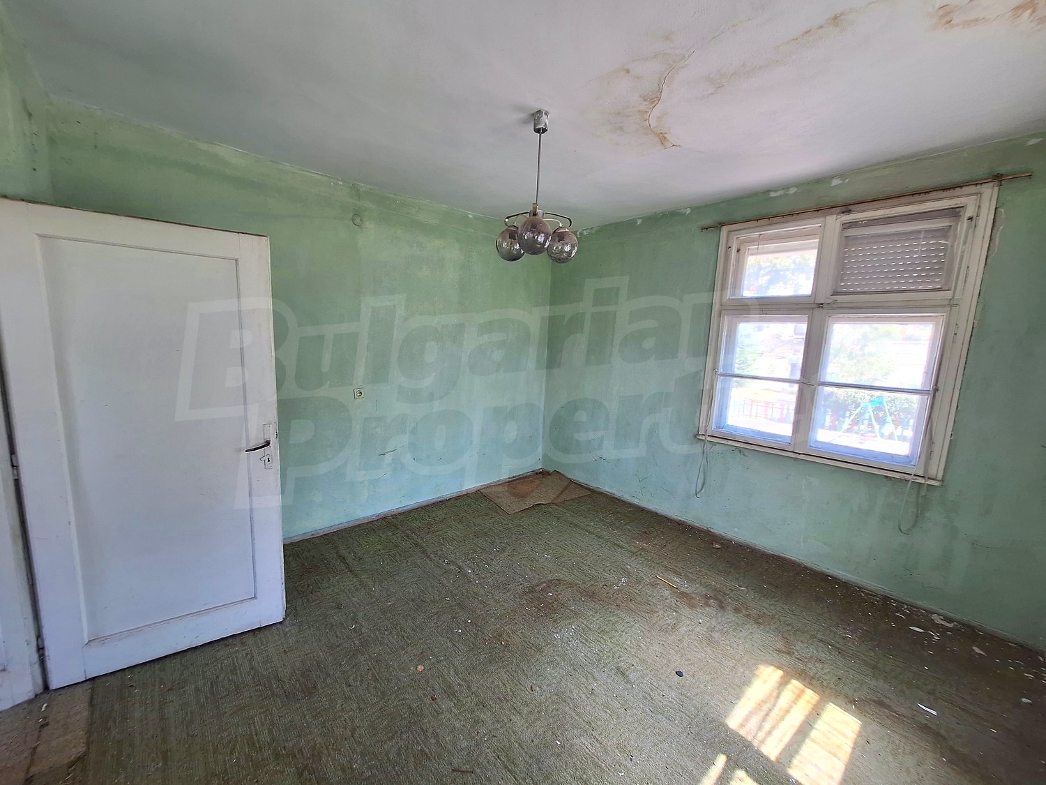 Gallery Picture 14