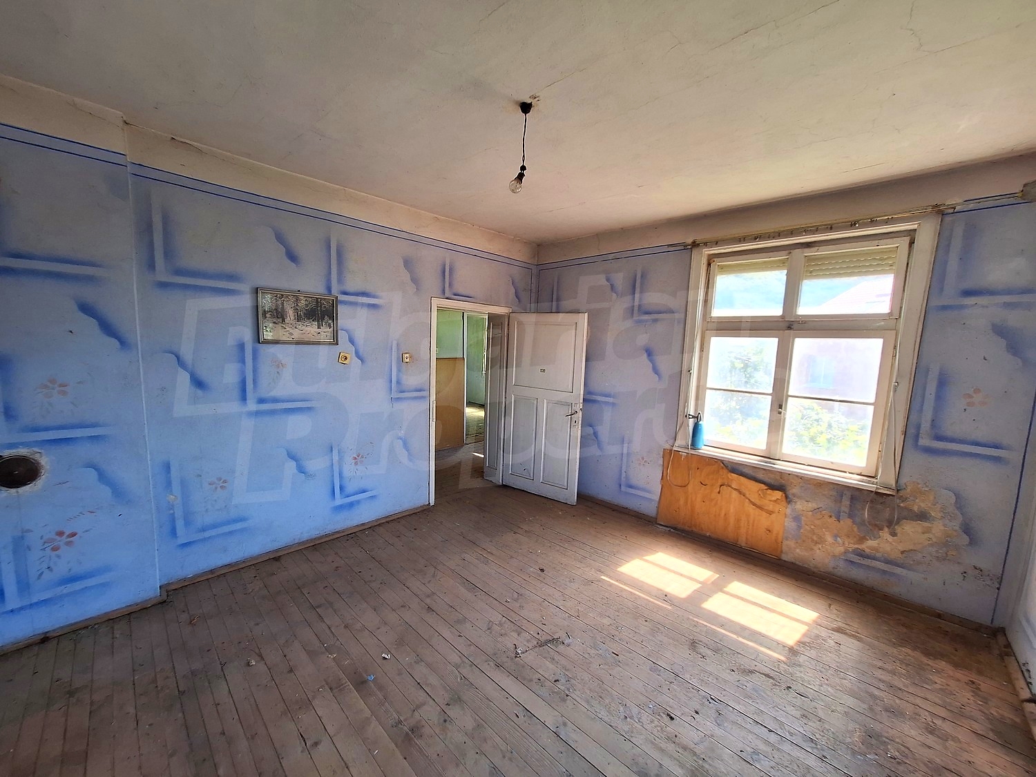Gallery Picture 18