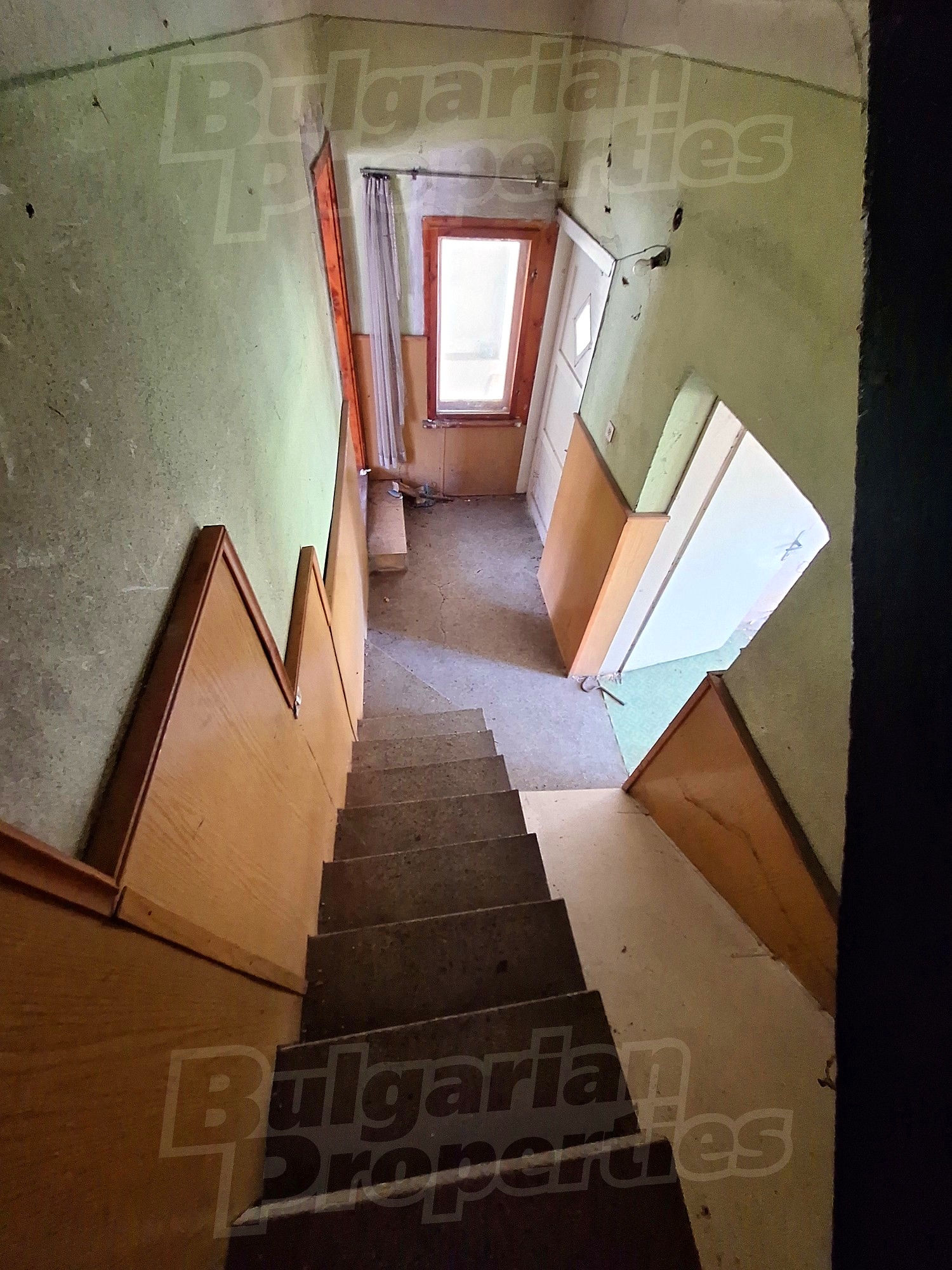 Gallery Picture 23
