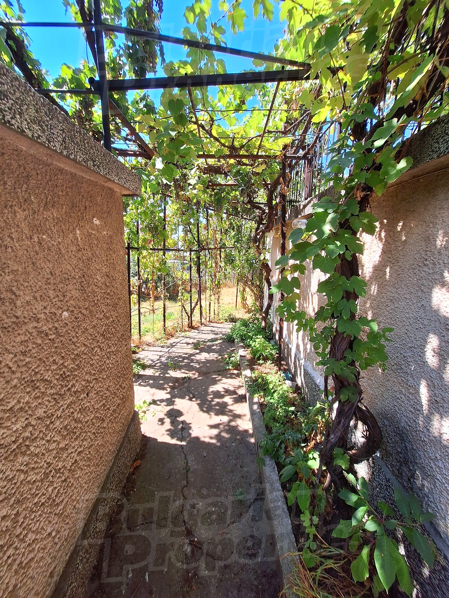 Gallery Picture 26