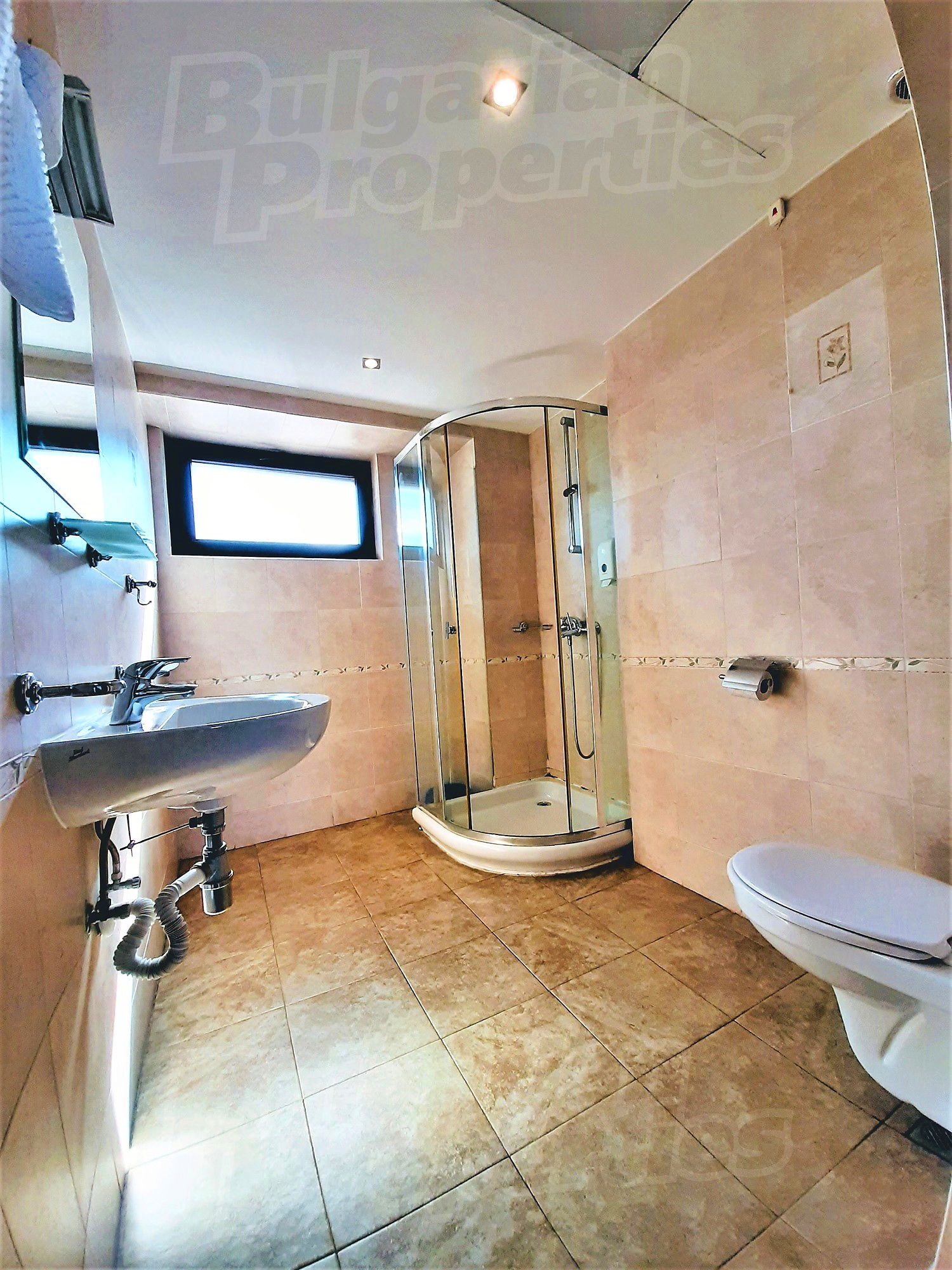 Gallery Picture 17