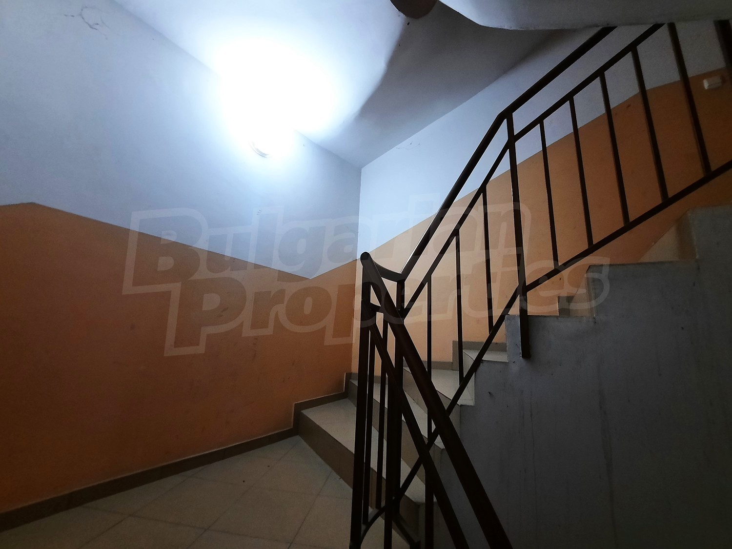 Gallery Picture 17