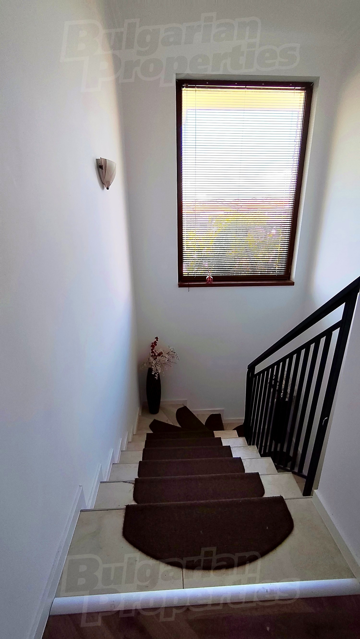 Gallery Picture 21