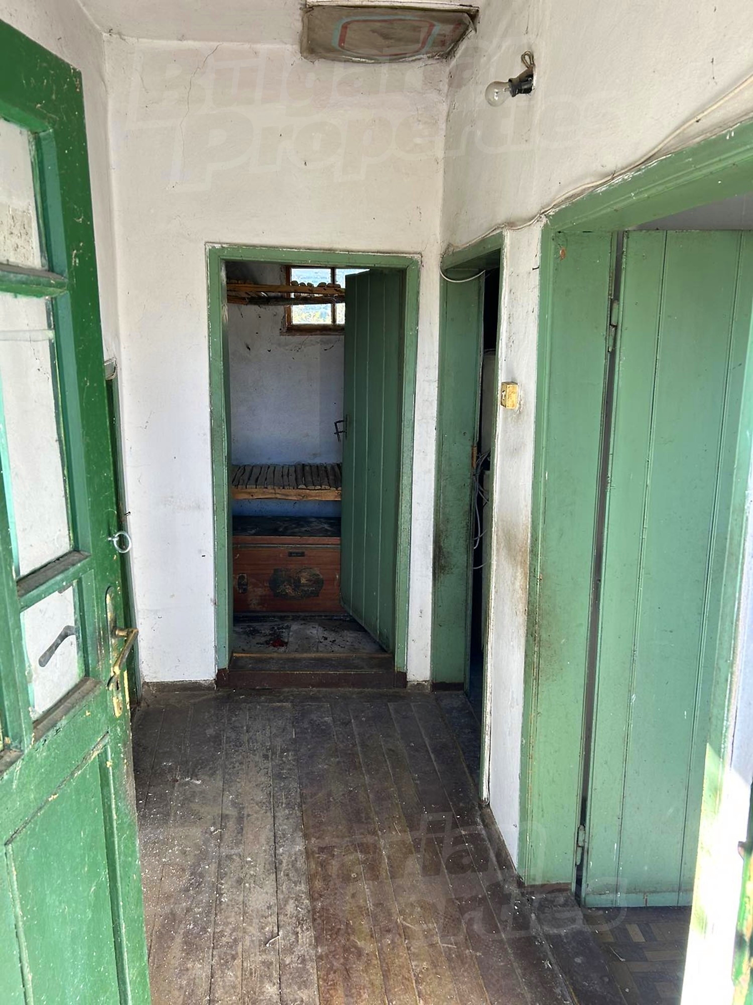 Gallery Picture 11
