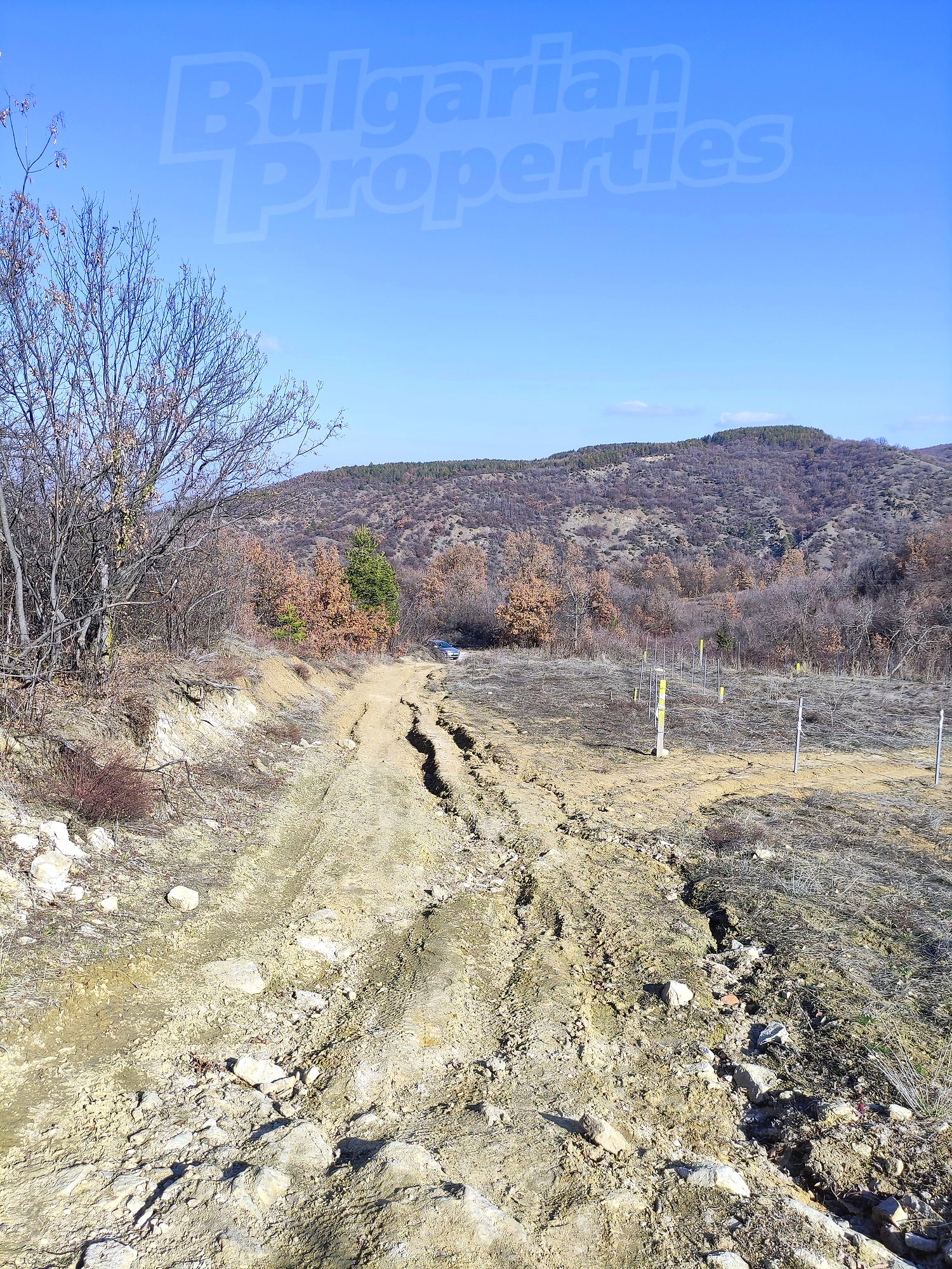 Gallery Picture 15