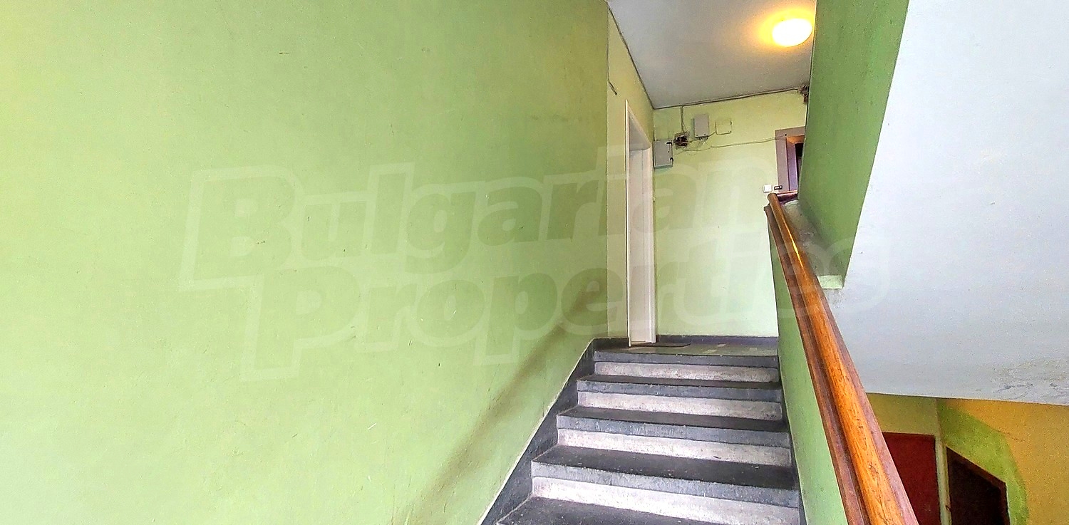 Gallery Picture 23