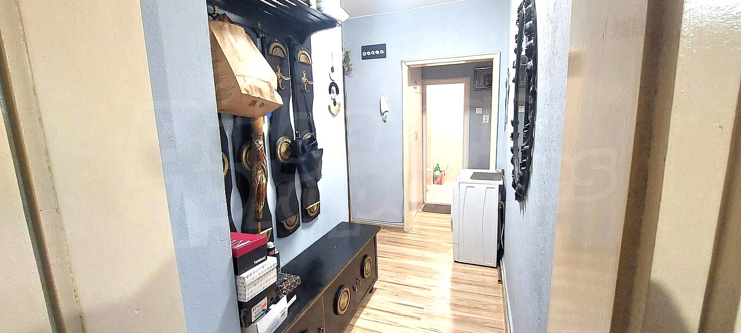 Gallery Picture 41