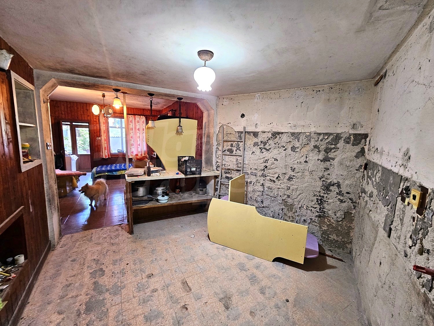 Gallery Picture 46