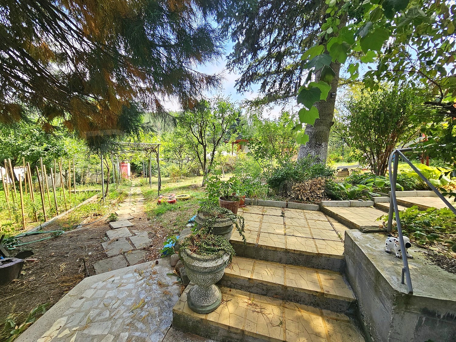 Gallery Picture 58