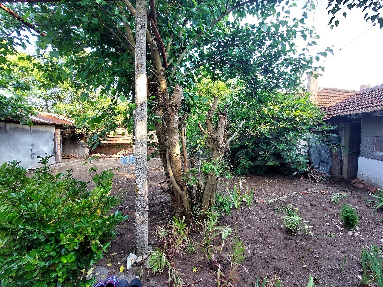 Gallery Picture 30