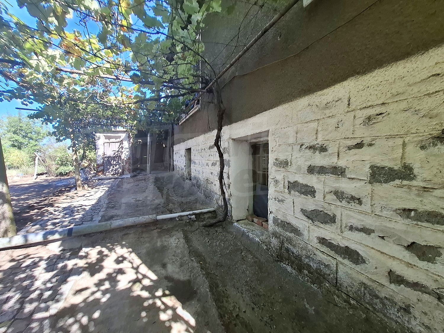 Gallery Picture 39
