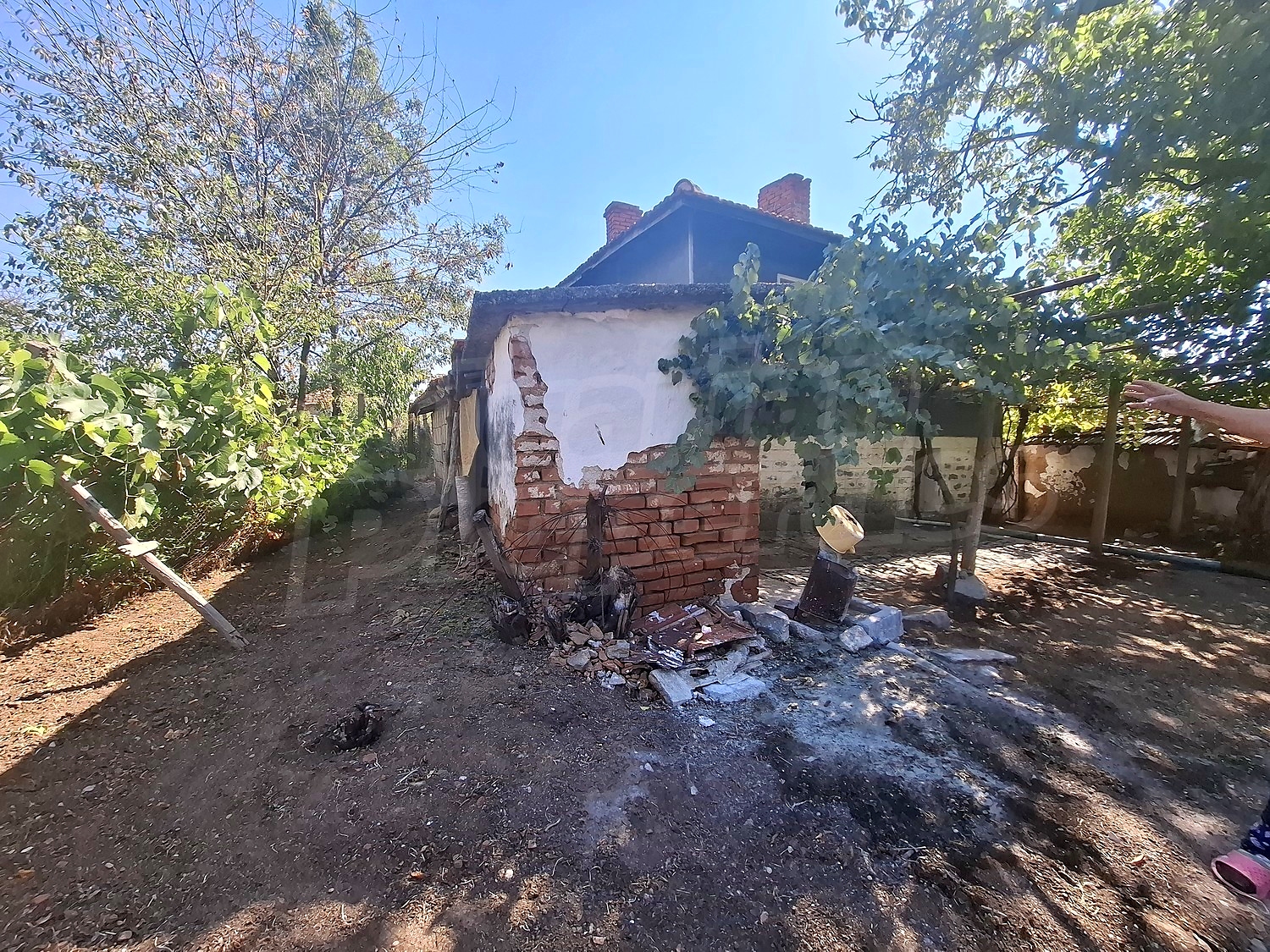 Gallery Picture 44