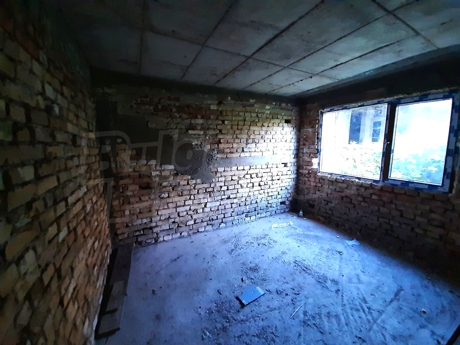Gallery Picture 13