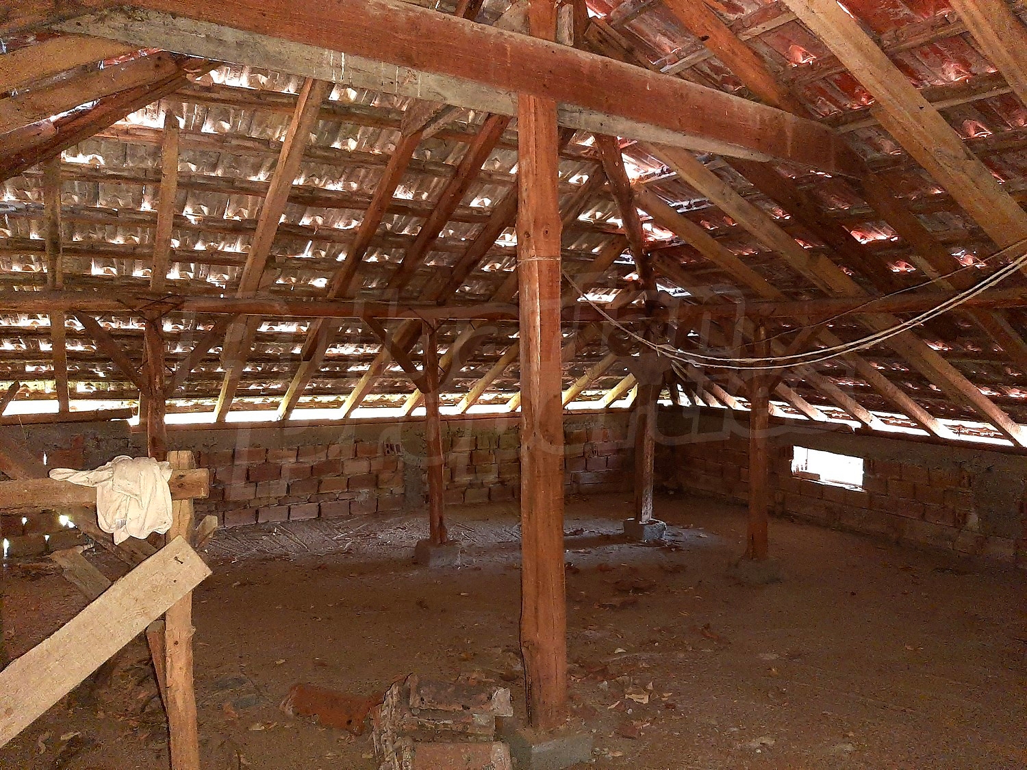 Gallery Picture 28