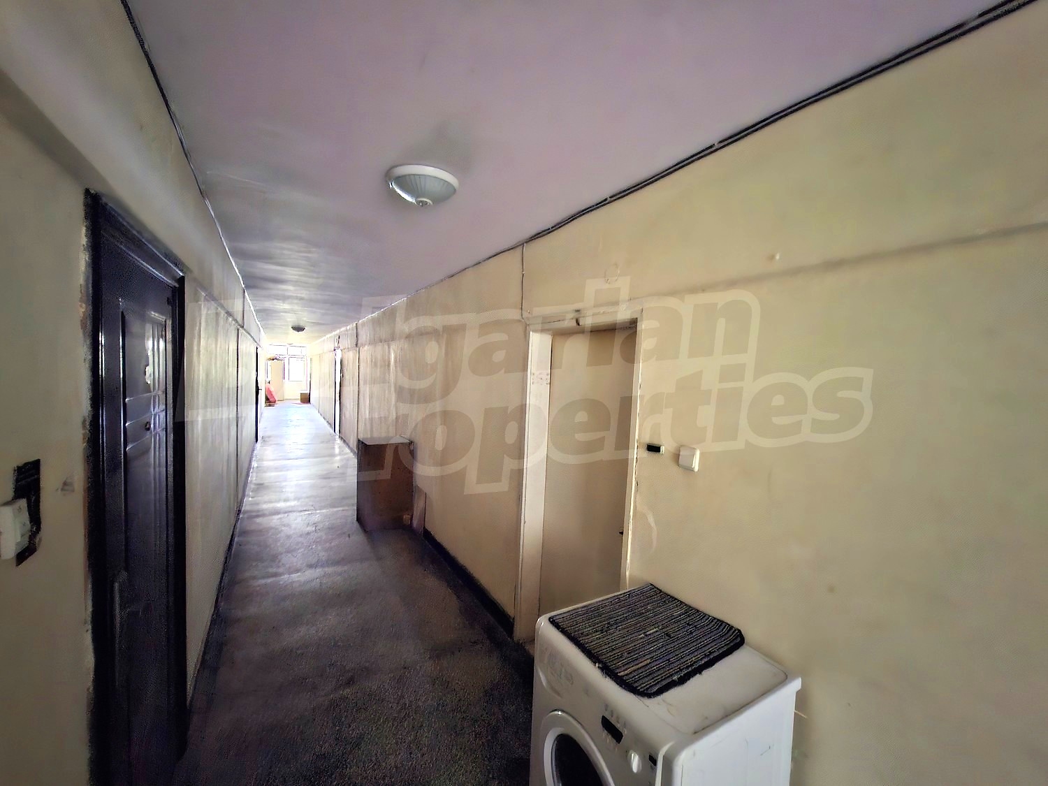 Gallery Picture 19