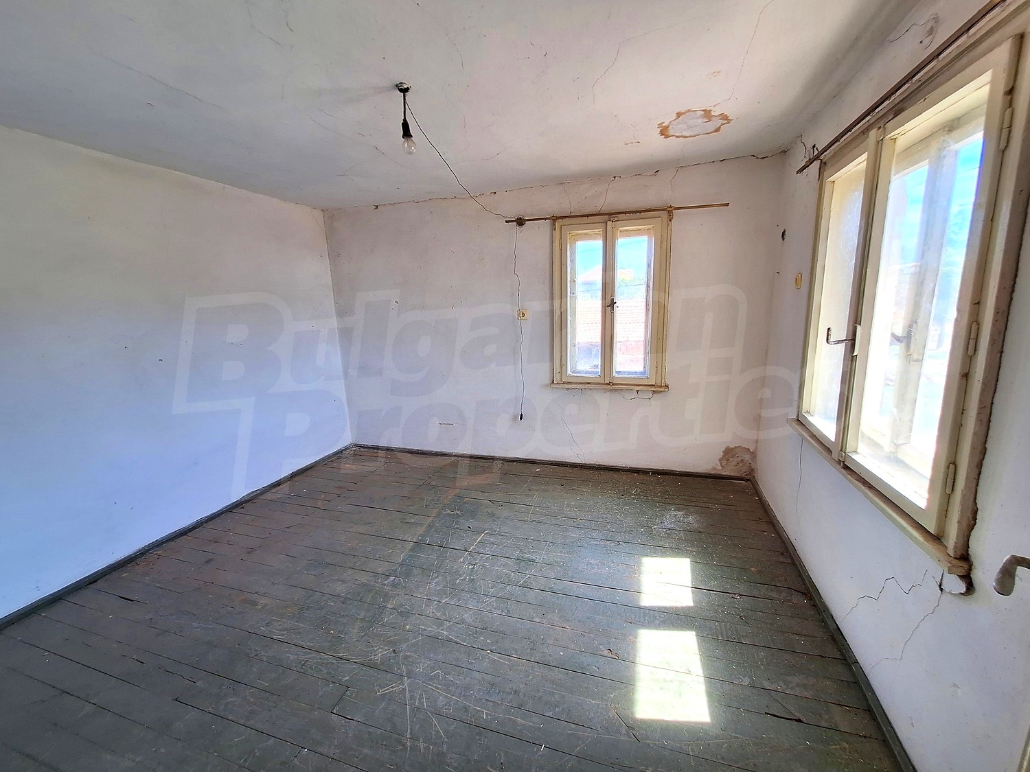 Gallery Picture 13