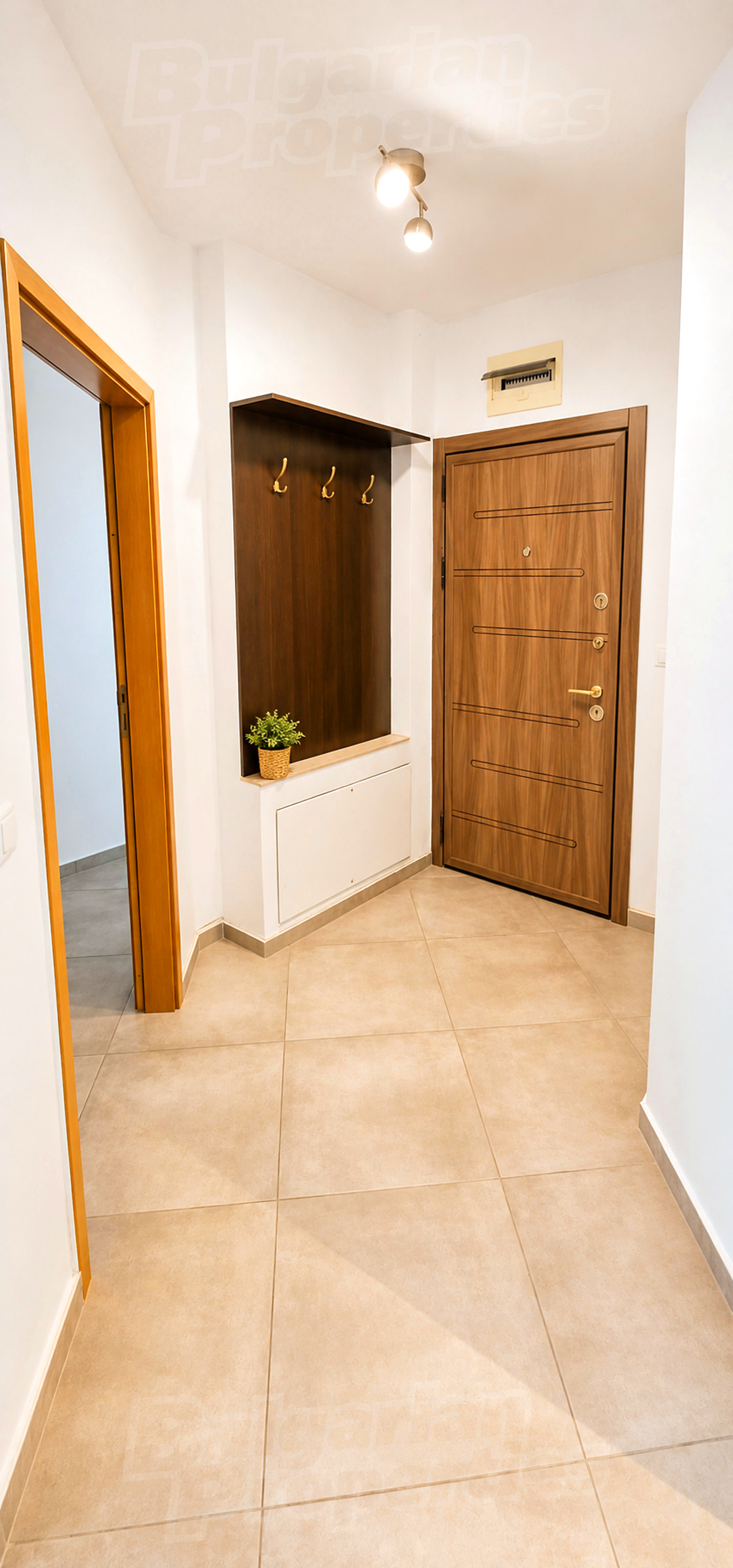 Gallery Picture 19
