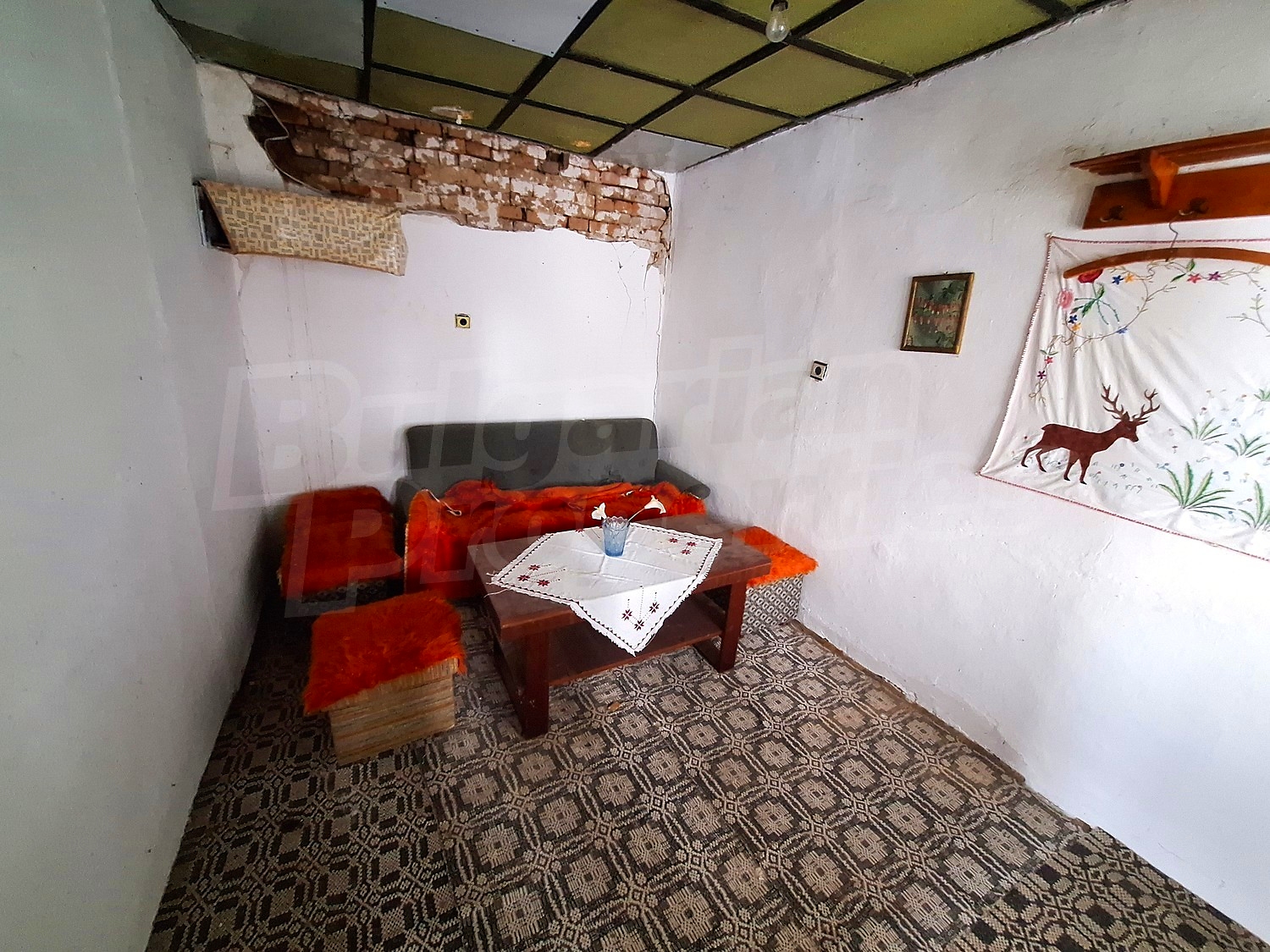 Gallery Picture 8