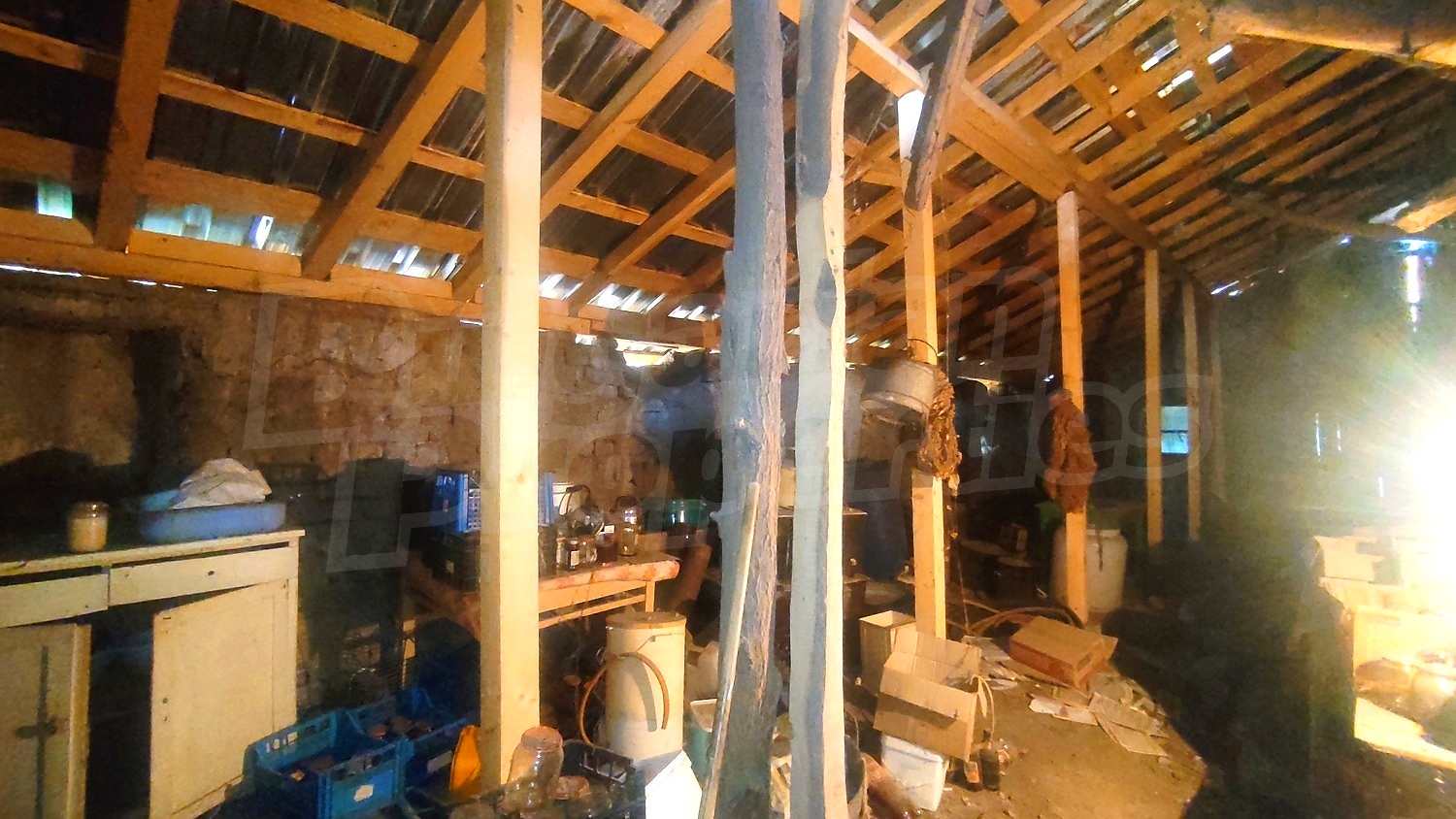 Gallery Picture 14