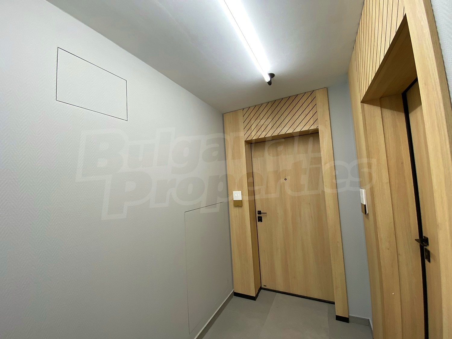 Gallery Picture 19