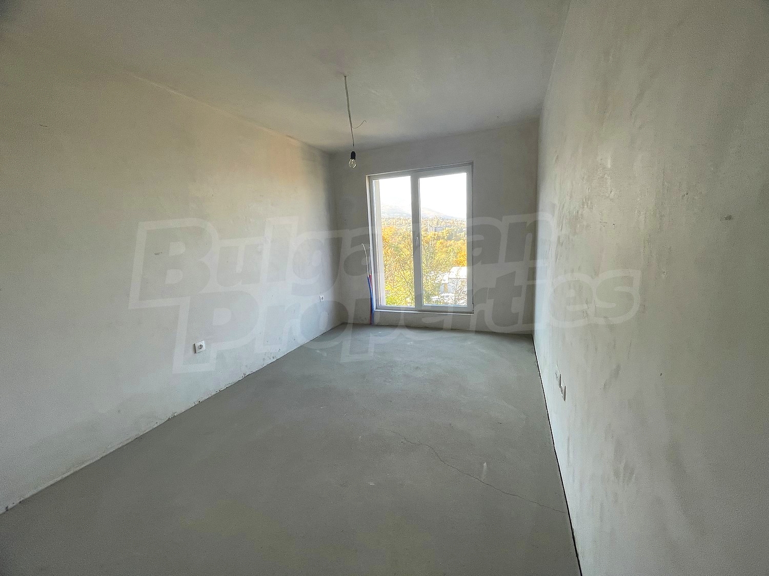 Gallery Picture 24