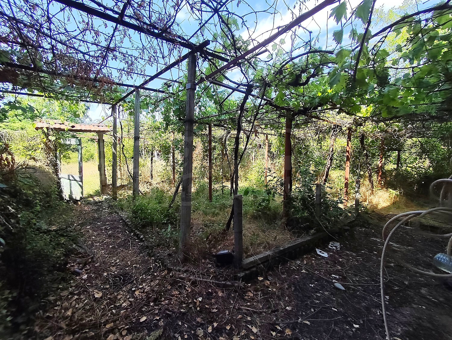 Gallery Picture 26