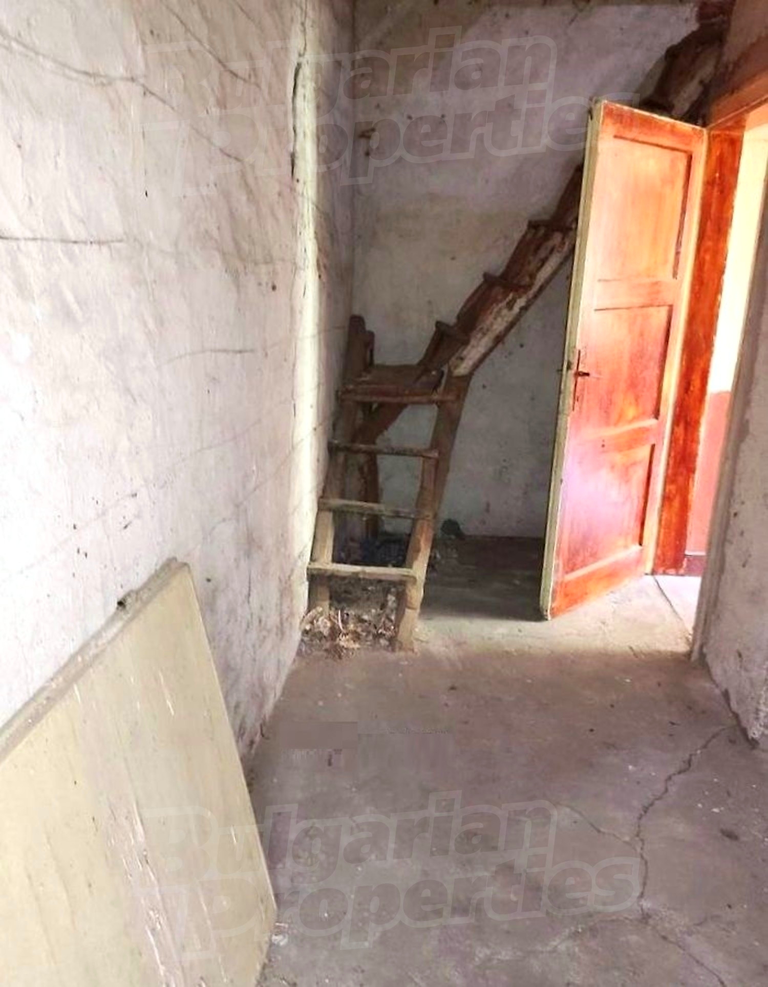 Gallery Picture 8
