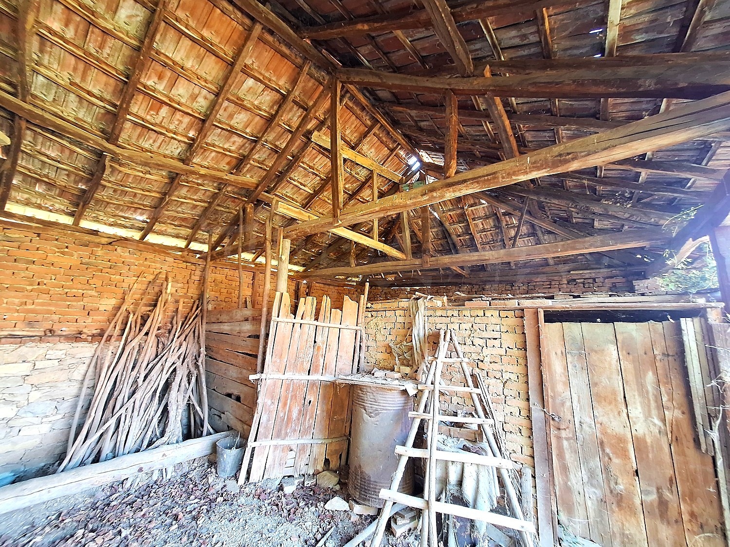 Gallery Picture 14