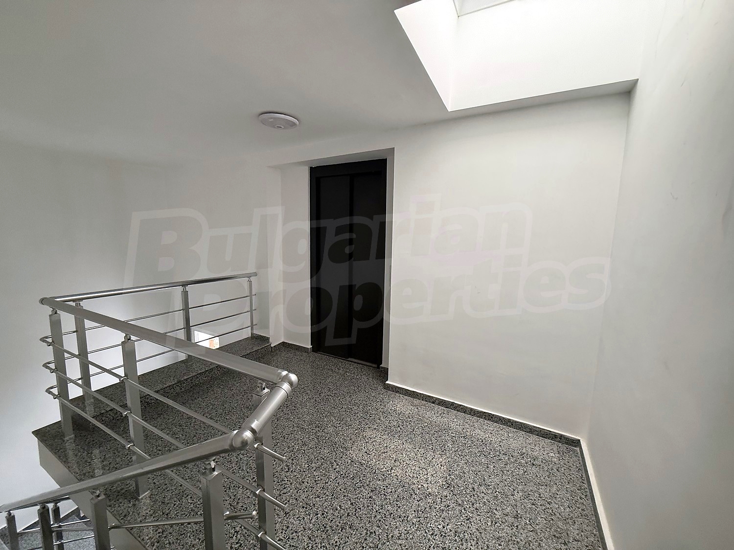 Gallery Picture 19