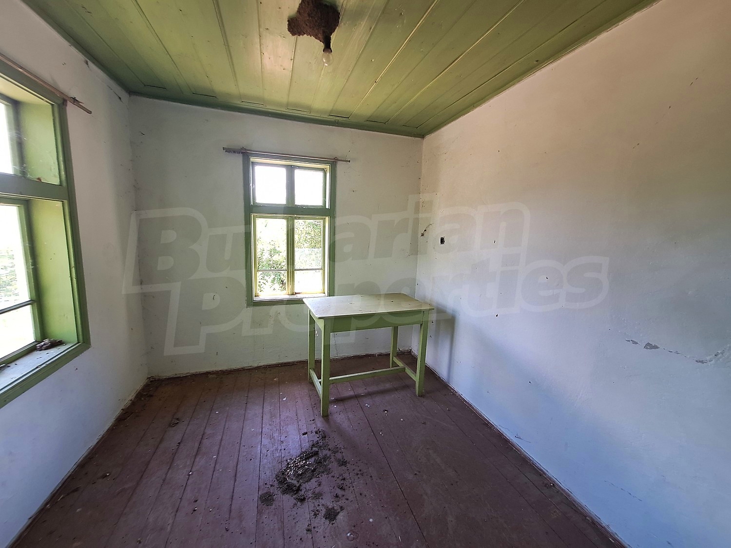 Gallery Picture 8