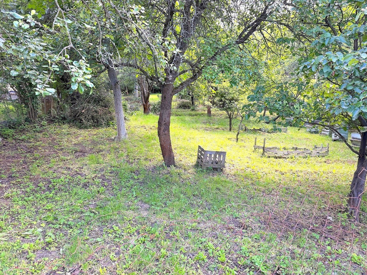 Gallery Picture 14