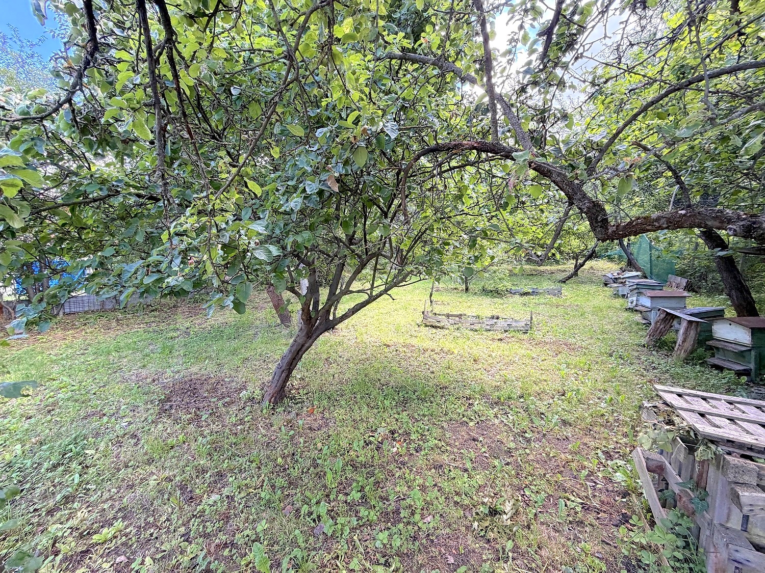 Gallery Picture 4