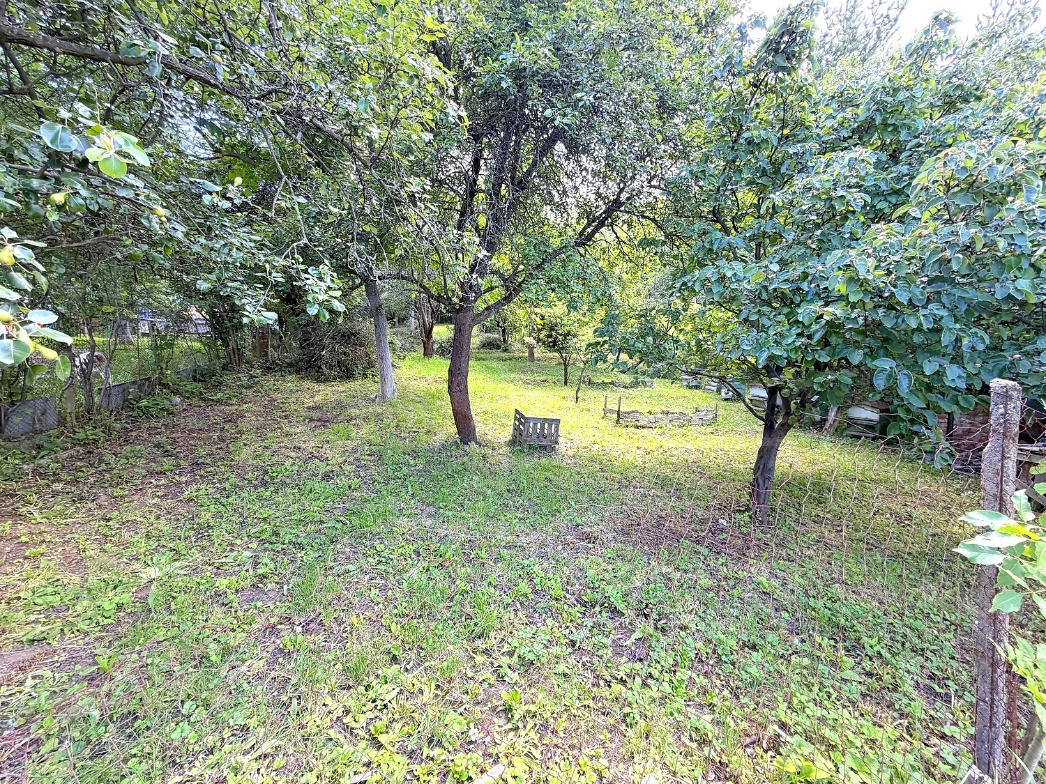 Gallery Picture 23