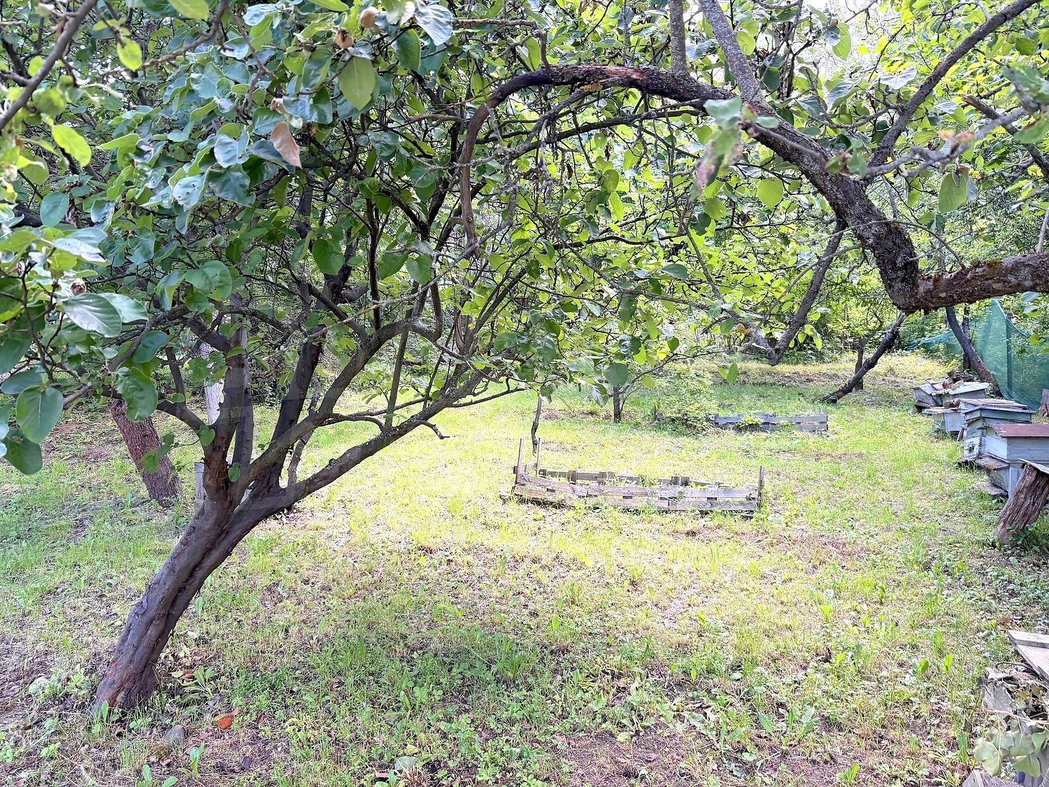Gallery Picture 25