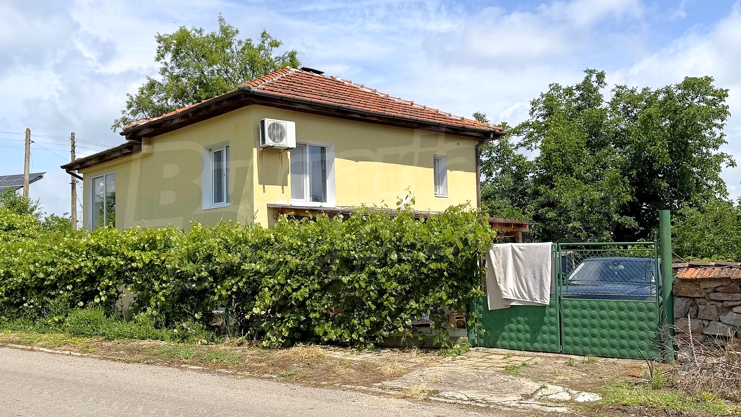 Gallery Picture 56