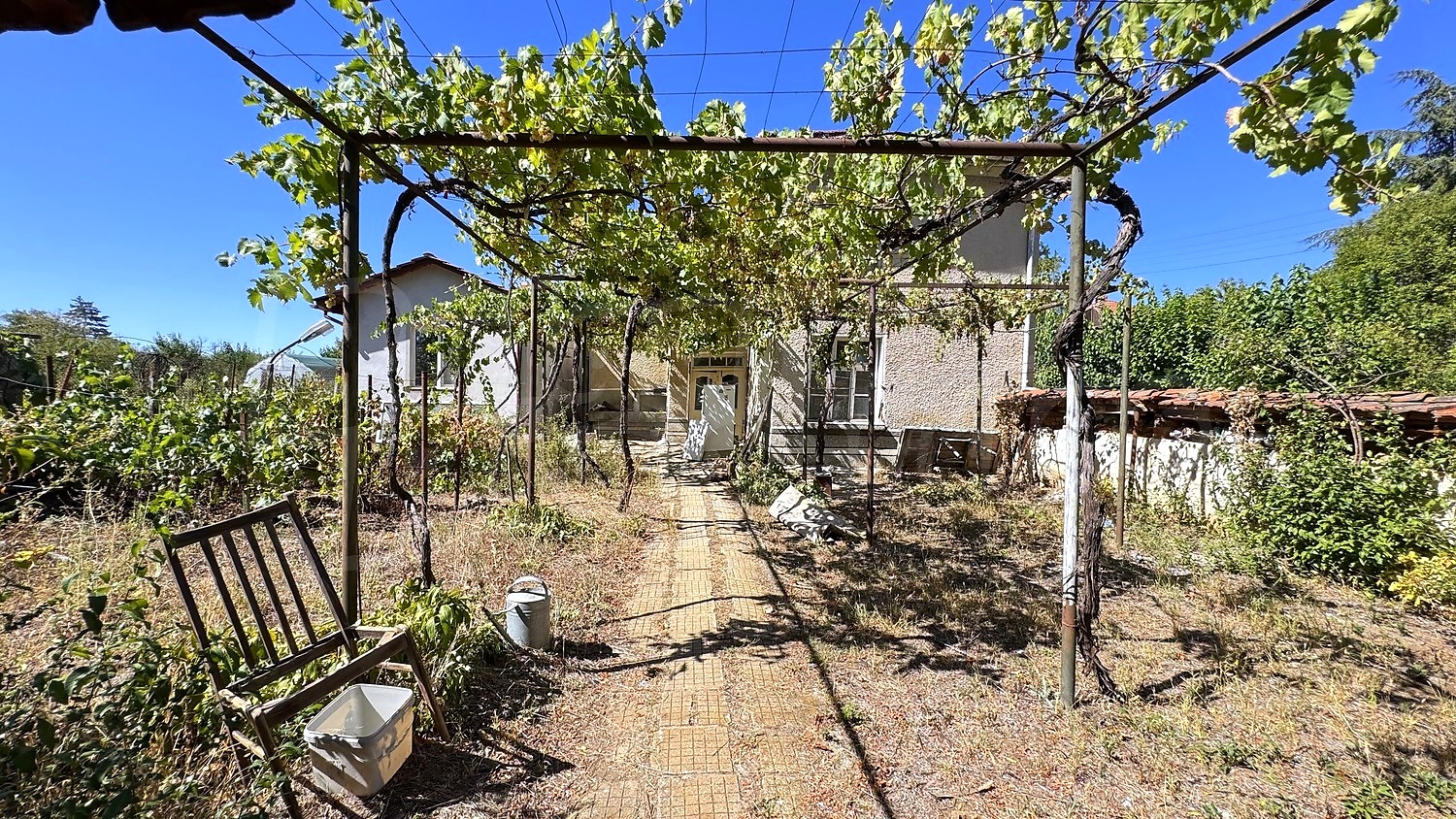 Gallery Picture 47