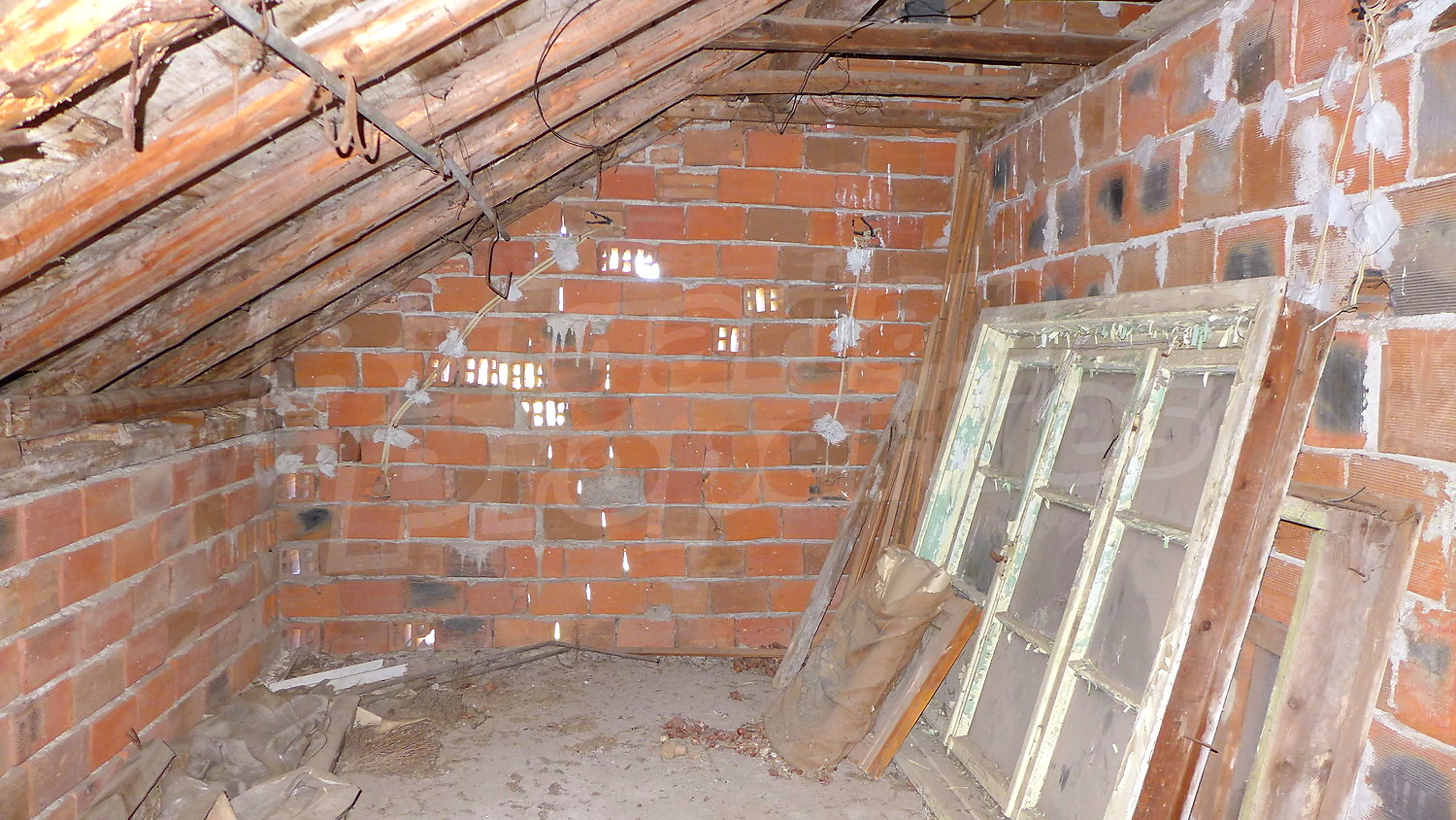 Gallery Picture 31