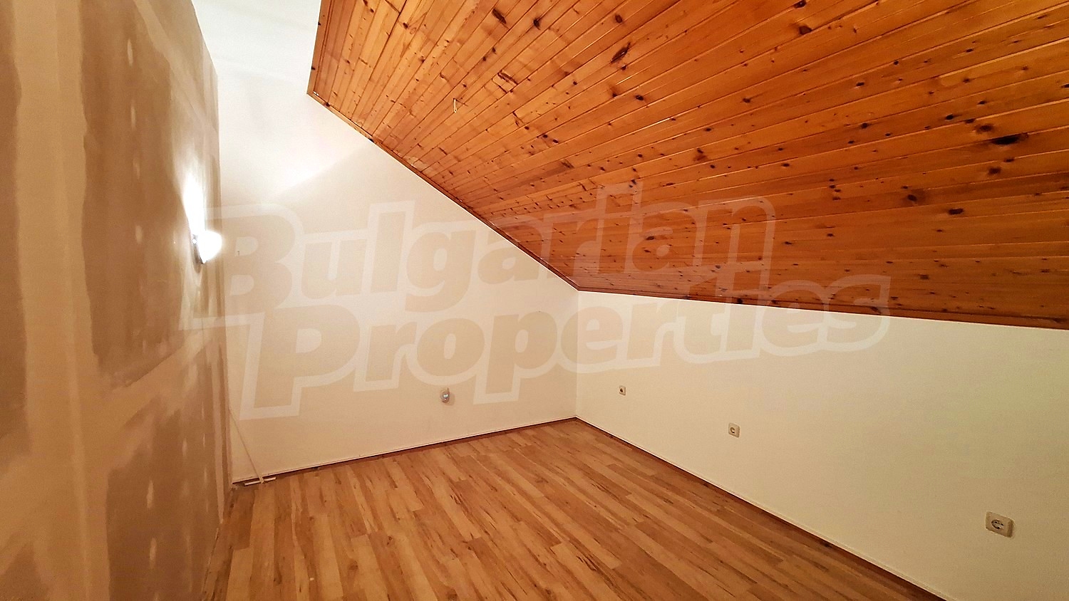 Gallery Picture 14