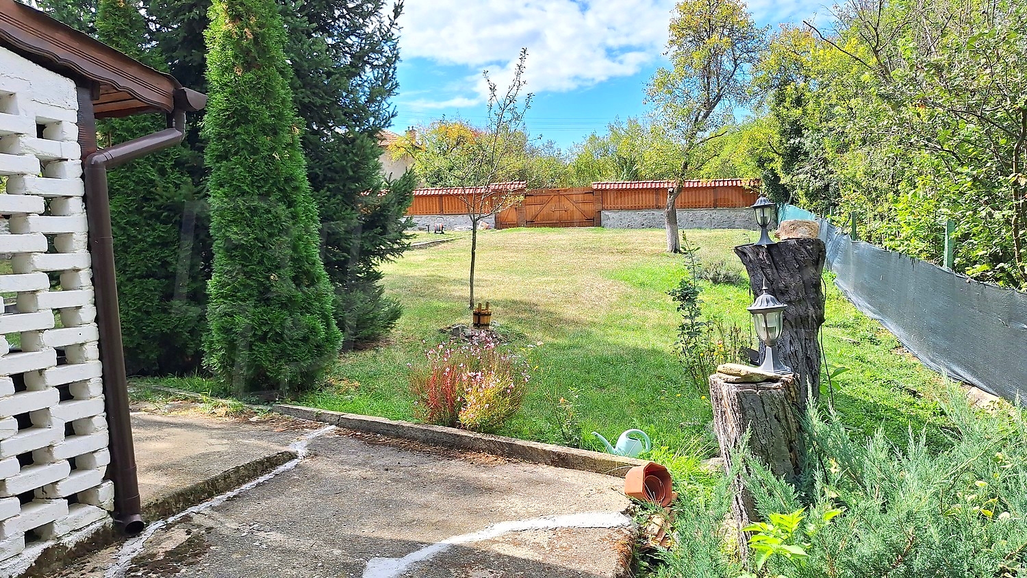 Gallery Picture 48