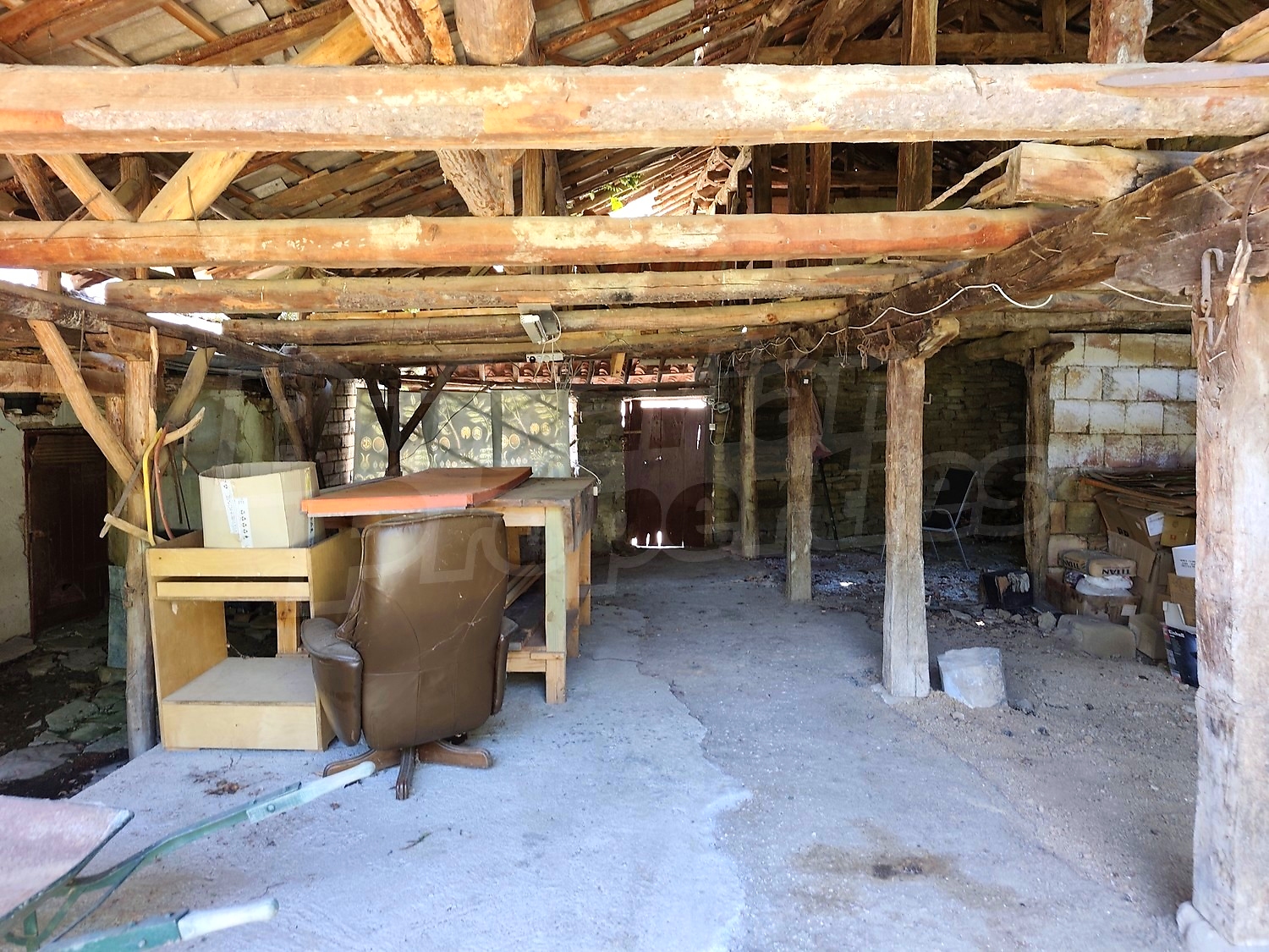 Gallery Picture 64