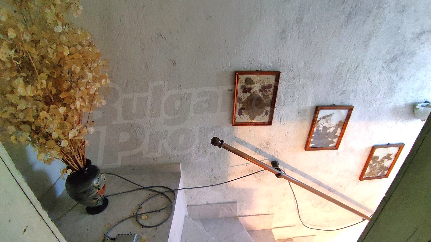 Gallery Picture 30