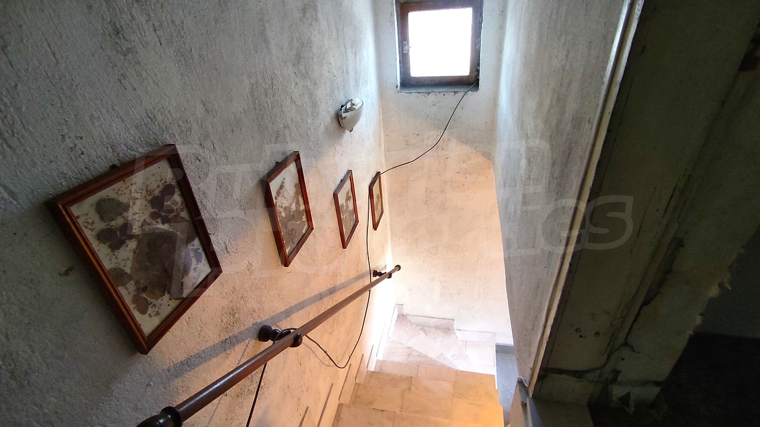 Gallery Picture 31
